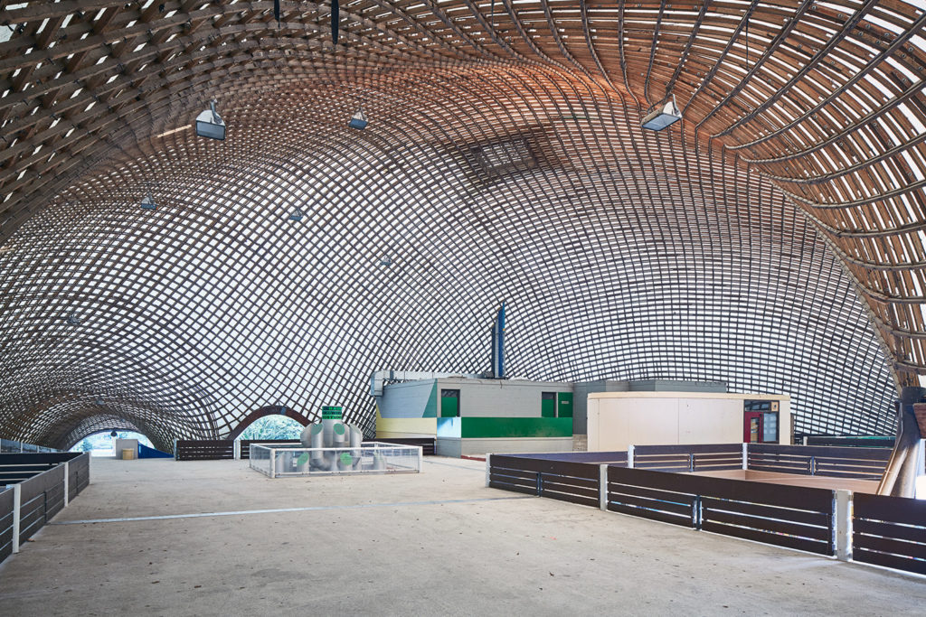 Case Study: Mannheim Multihalle – Alexander Sehlström